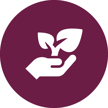 Plant growing from a hand